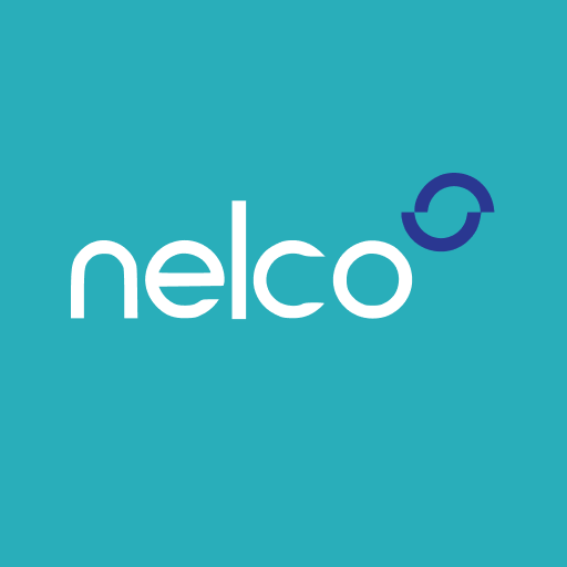Nelco Share Price